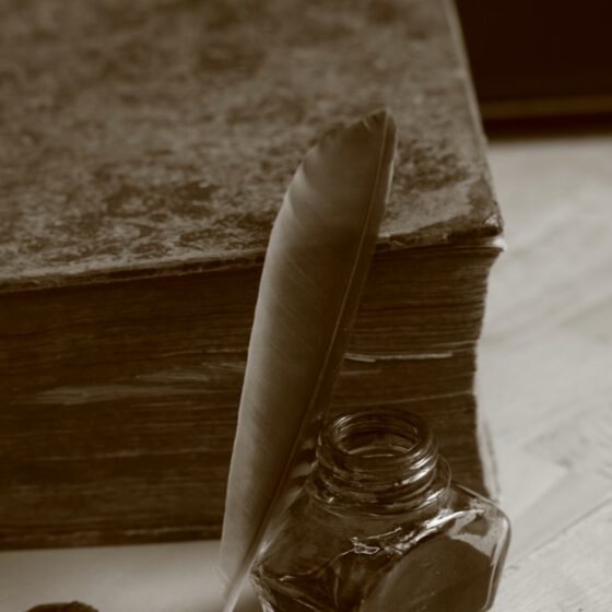 white feather on brown wooden table